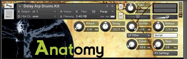 sonivox anatomy