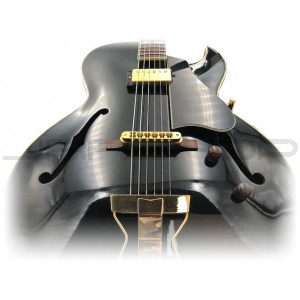 super natural jazz guitar vol.1 std sample set