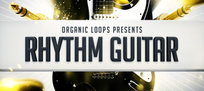 rhythm guitar