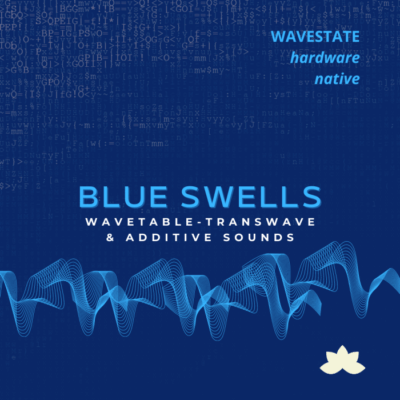 blueswellsforwavestate