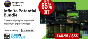 the infinite potential bundle