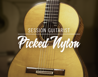 SESSION GUITARIST – PICKED NYLON