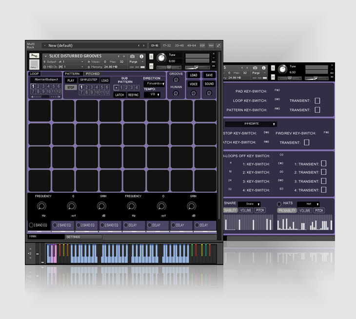 slice4.1-disturbedgrooves