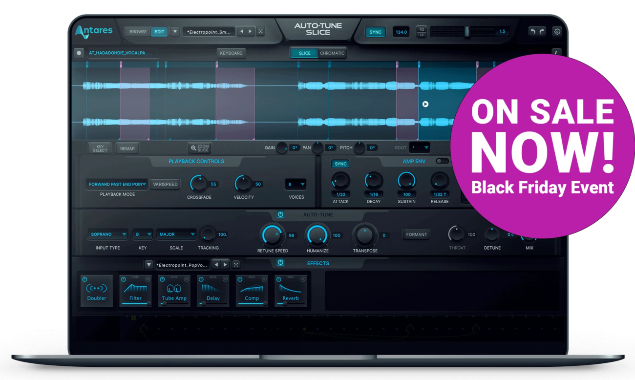 auto-tune vocodist perpetual license