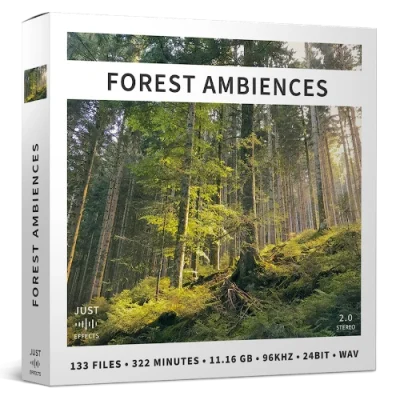 forest ambiences