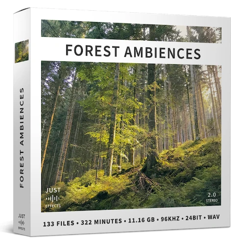 forest ambiences