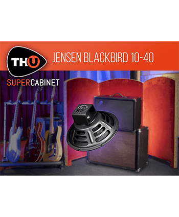 jensen blackbird 10 40