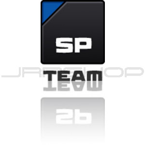 sp team license 18 month