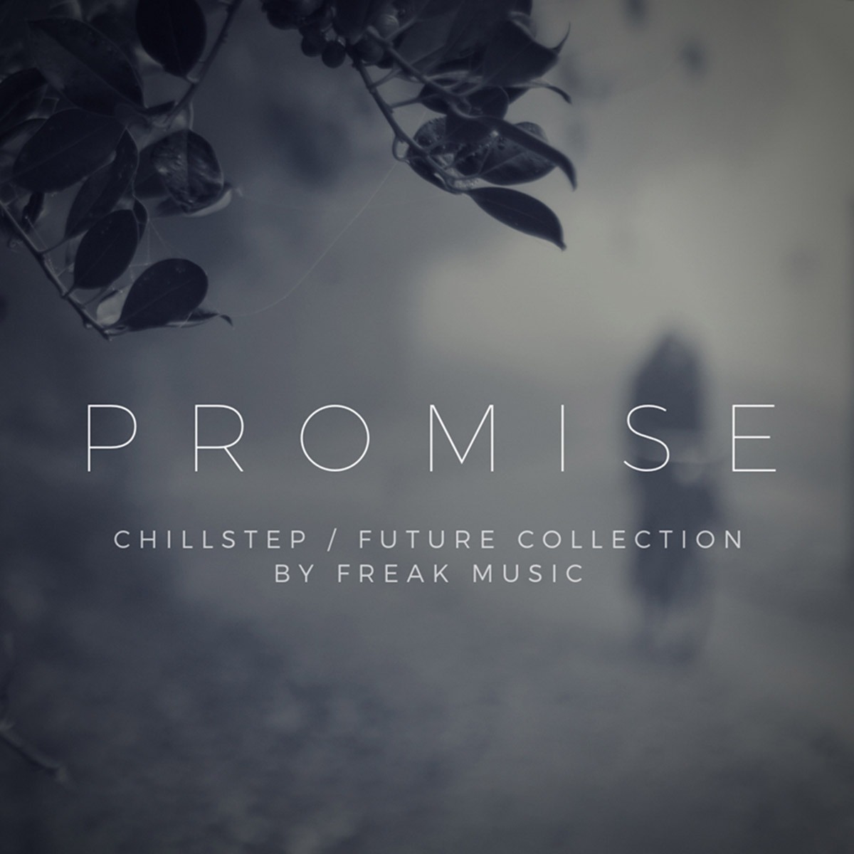 promise