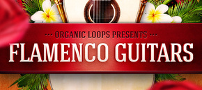 flamenco guitars