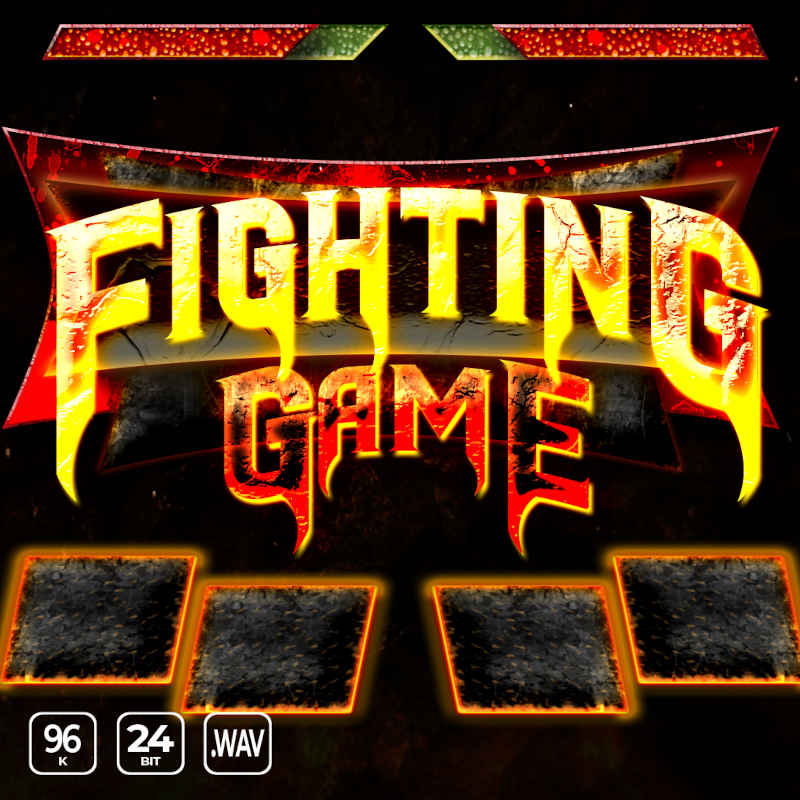 fighting game