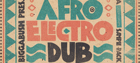 biggabush – afro electro dub