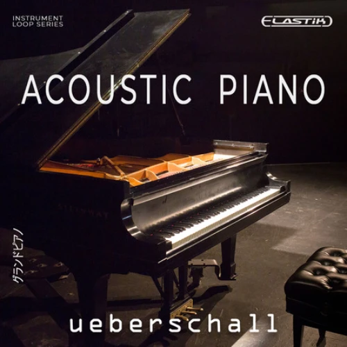 acoustic piano