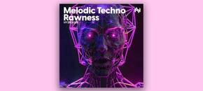 melodic techno rawness