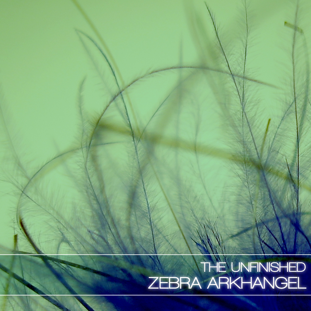 zebra arkhangel