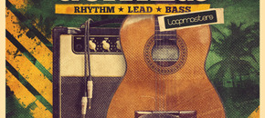 brazilian guitars