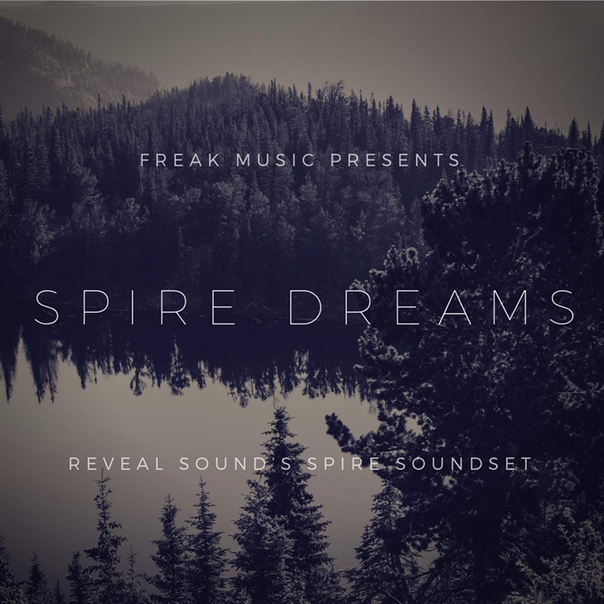 spire dreams