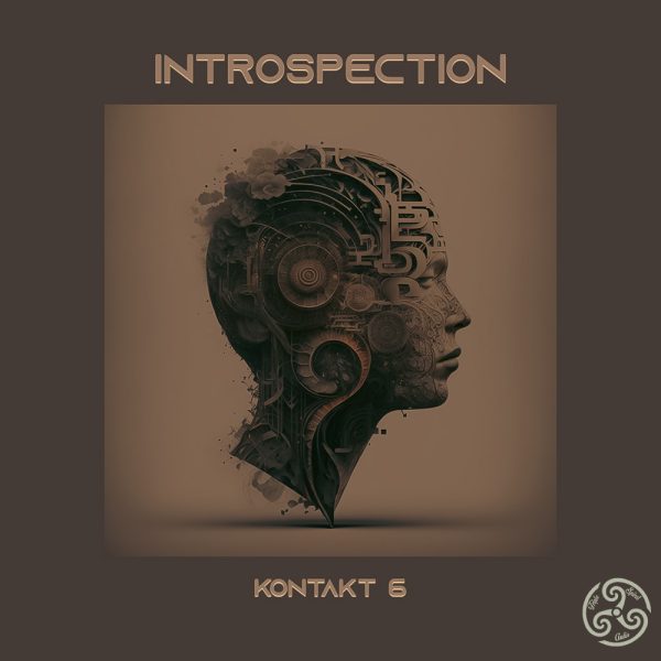 introspection