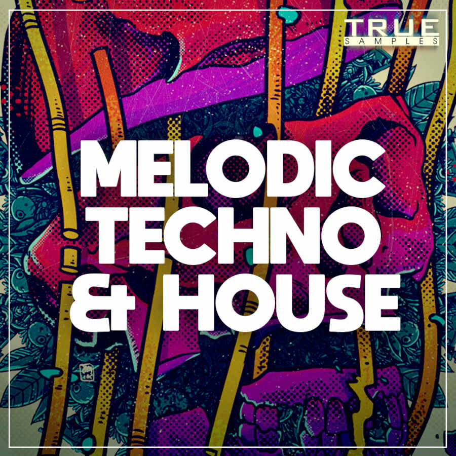 melodic techno & house