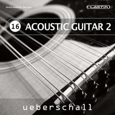 Acoustic Guitar 2