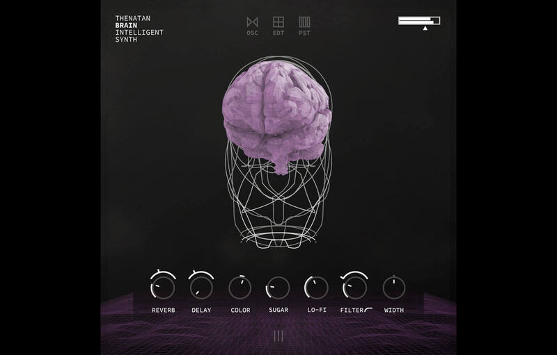 brain