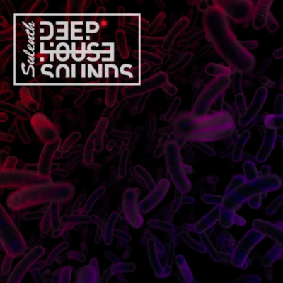 sylenthdeephousesounds