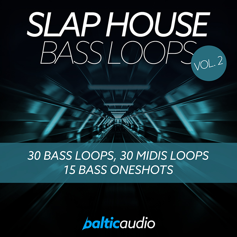 slaphousebassloopsvol2