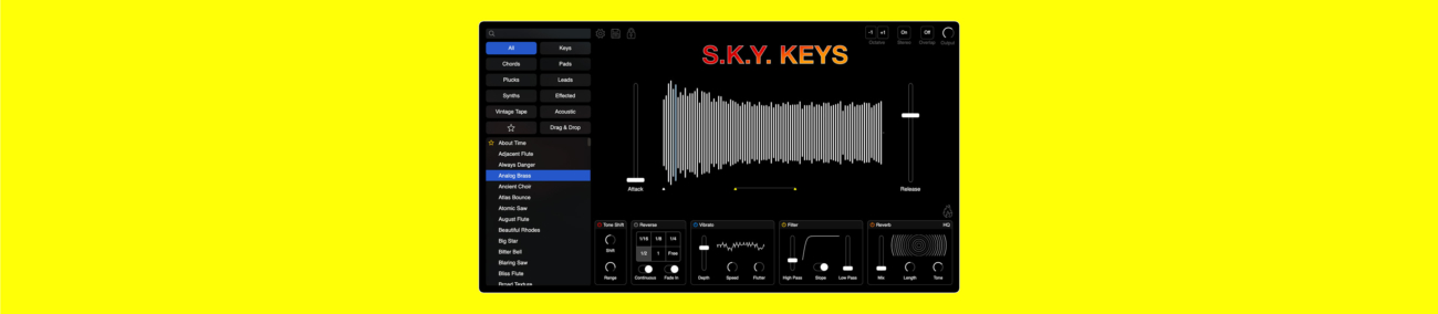 s.k.y keys