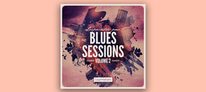 the blues sessions vol. 2
