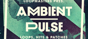 ambient pulse