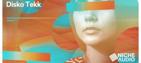 disko tekk wav pack