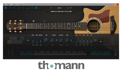 ample guitar t iii
