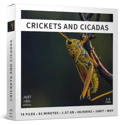 crickets and cicadas