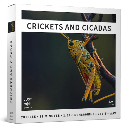 crickets and cicadas