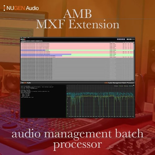 amb mxf extension