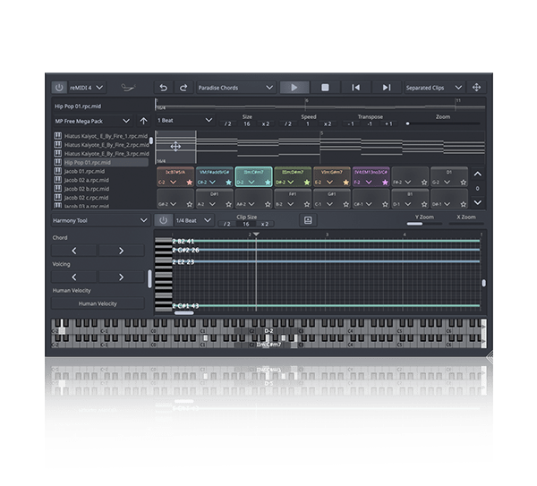 remidi 4 advanced midi sampler (, )
