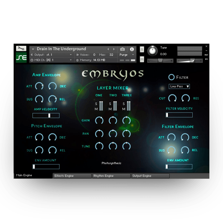 embryos