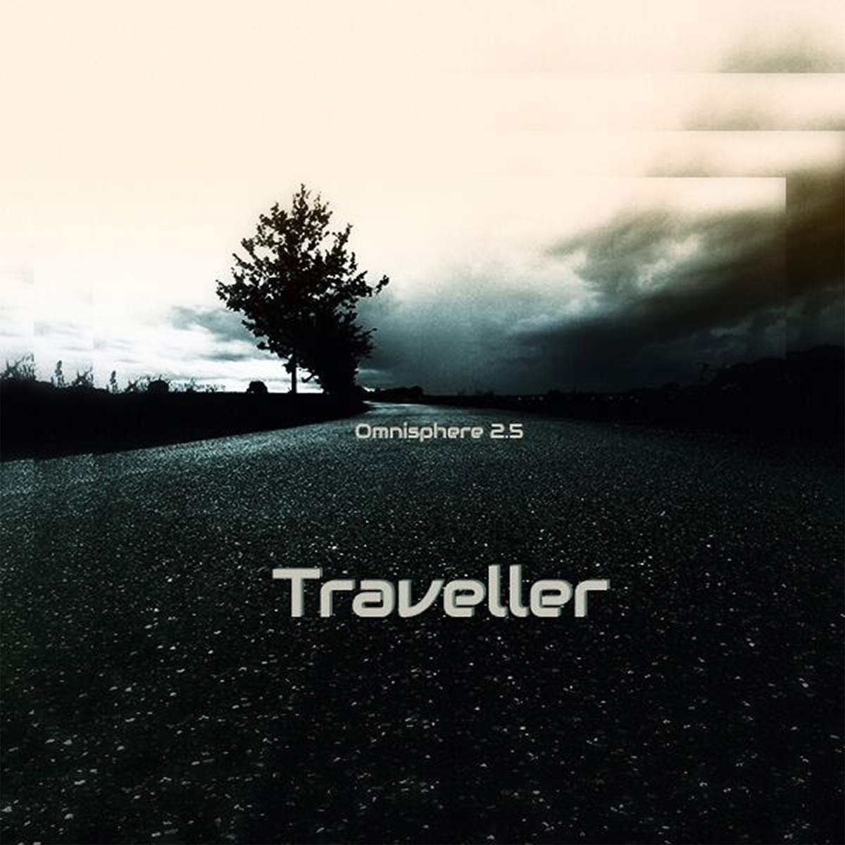 traveller