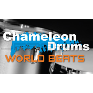 chameleon drums 2 world beats