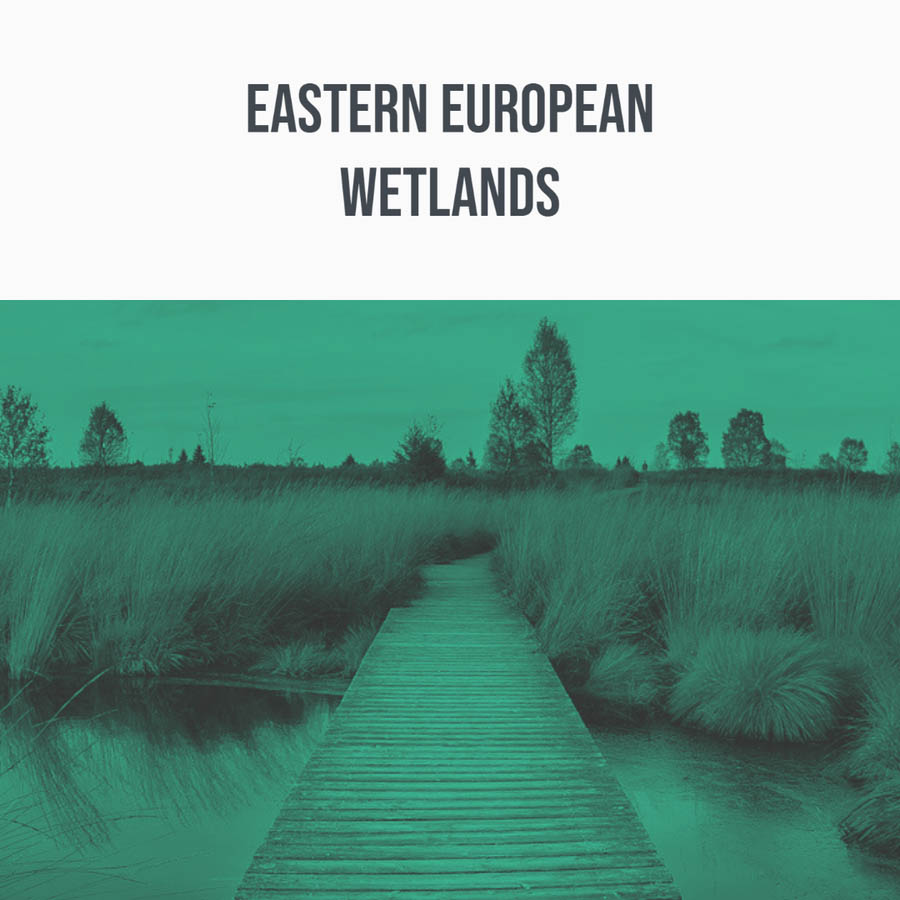 eastern european wetlands