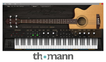 ample bass acoustic iii