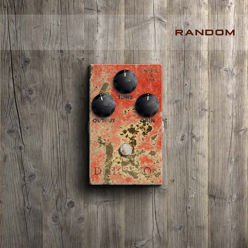 random – lion