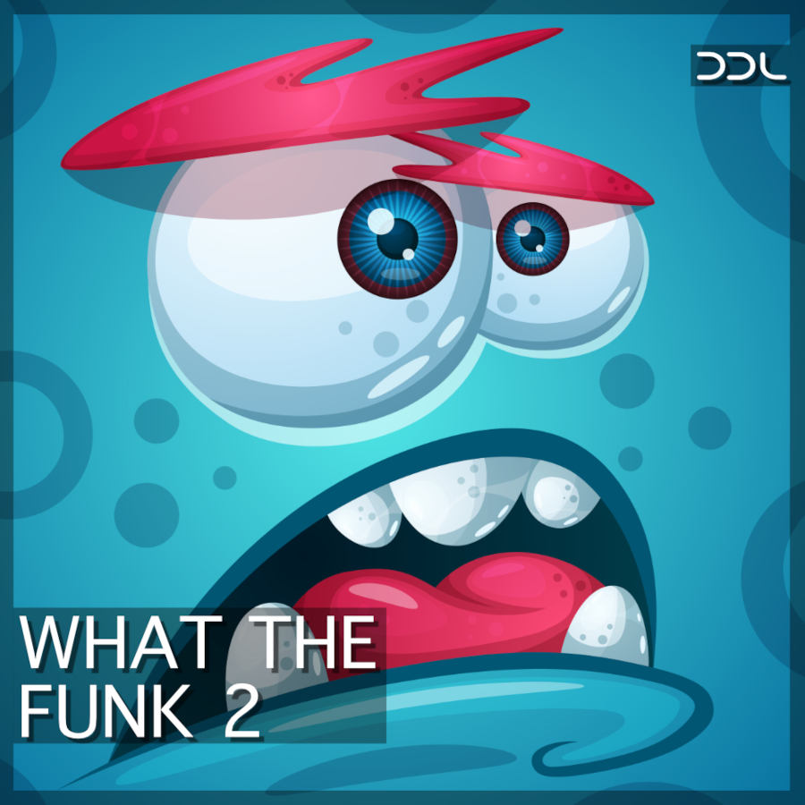 what the funk 2