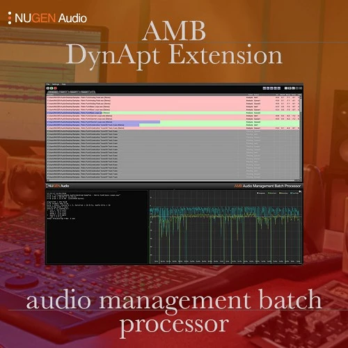 amb dynapt extension