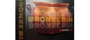 bronze bin