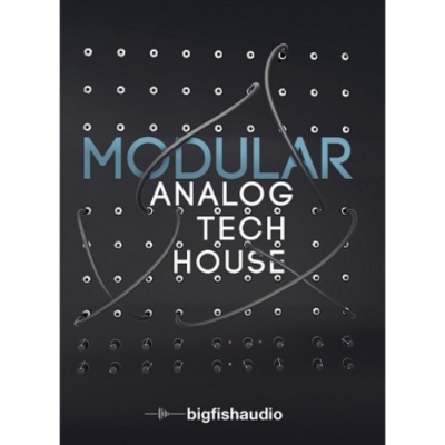 modular:analogtechhouse