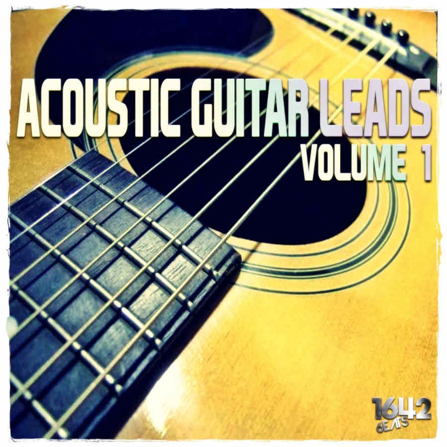 acousticguitarleadsvol.1