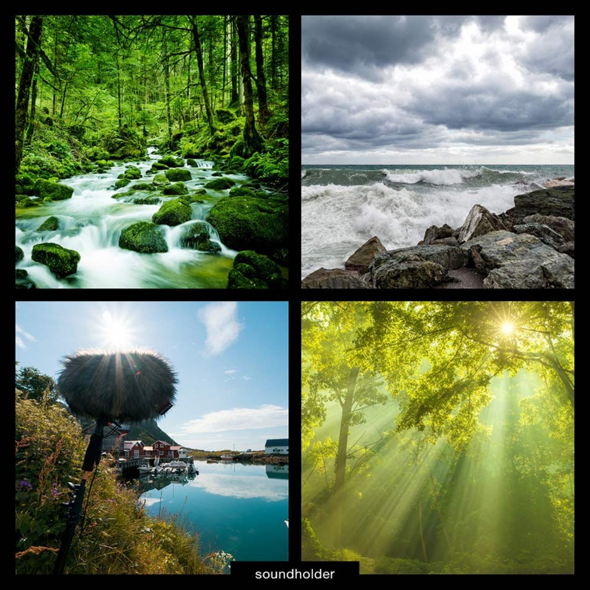 nature ambients bundle