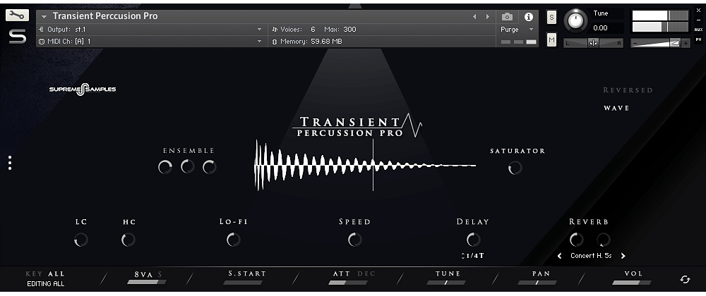 transient percussion pro