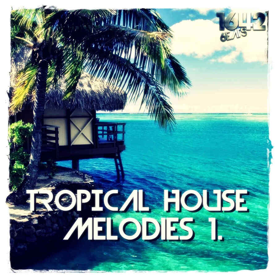 tropicalhousemelodies1
